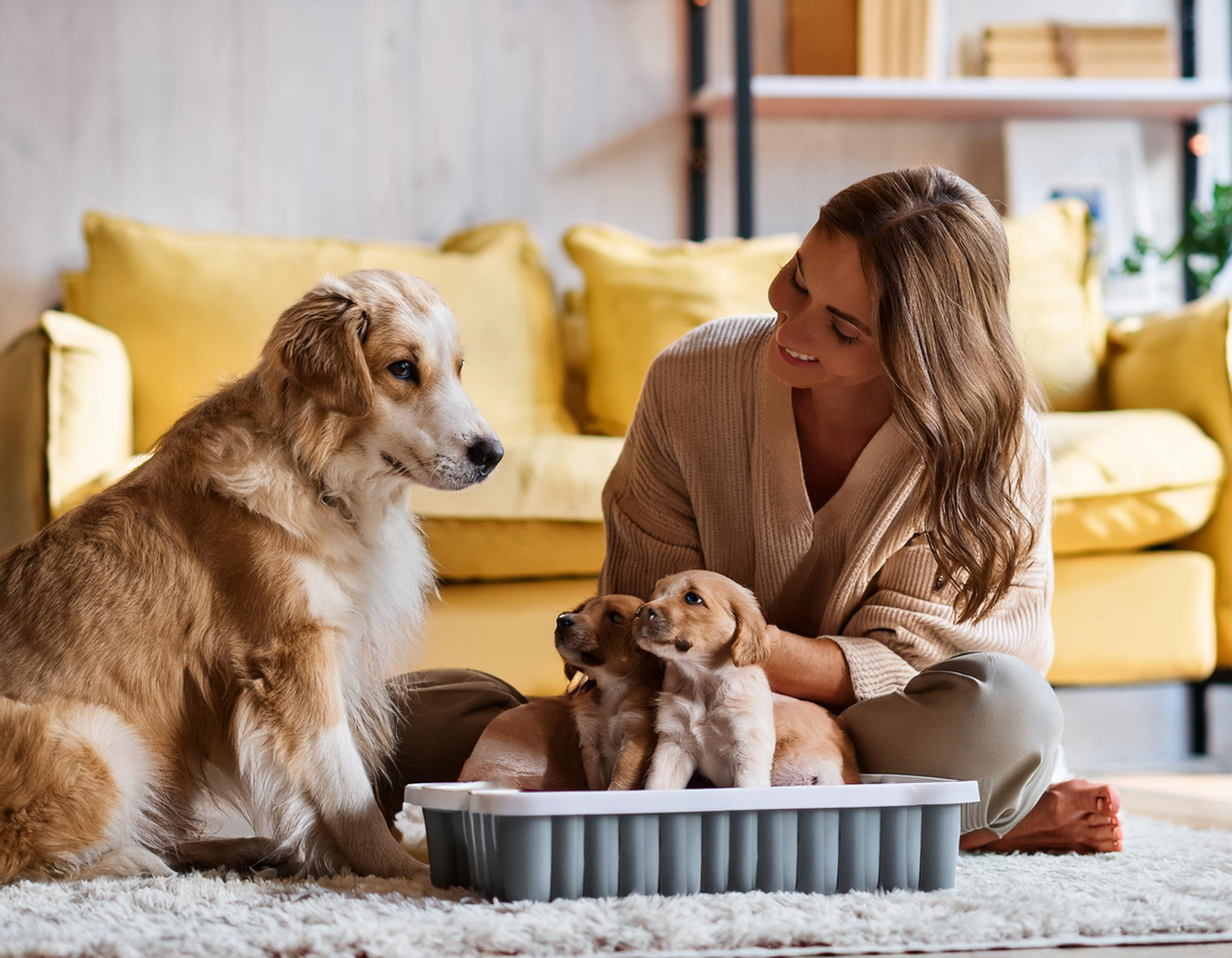 Hva betyr det å være en ansvarlig hundeeier i et avlsprosjekt?